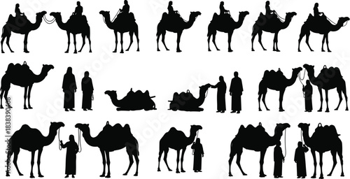 Camel and human icon set, black silhouette desert travel poses with riders and handlers, cad drawing flat vector illustration