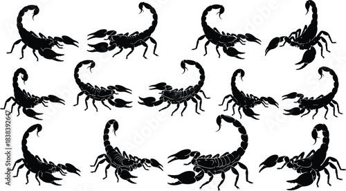 Scorpion icon set, black silhouette arachnid poses with pincers and curved tails for design, cad drawing flat vector illustration