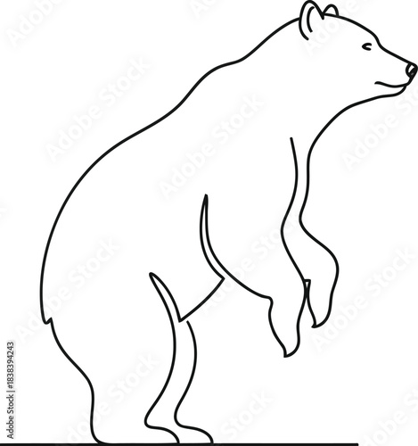 Minimalist line art illustration of a bear standing on its hind legs isolated