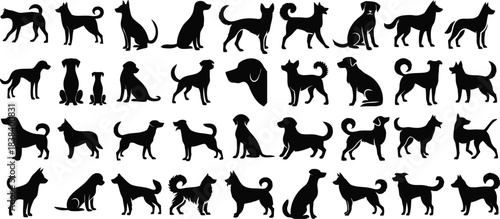 dog, dogs, puppy, puppies, silhouette, animal, pet, canine, breed, standing, walking, sitting, running, posing, collection, set, icon, graphic, design, black and white, isolated, white background, dom