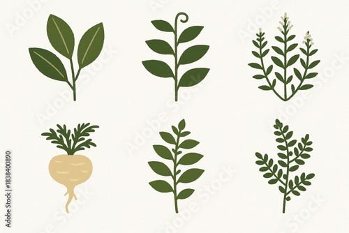 Peruvian medicinal plants vector icons in torn textured clean grid on white background