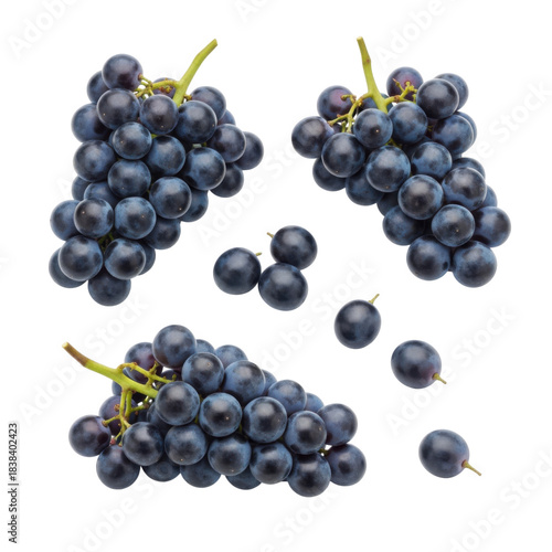 Fresh dark blue grapes isolated on transparent background, png