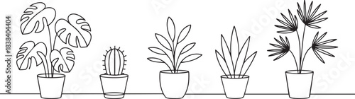 A beautiful collection of potted house plants in simple black outline style illustrates modern home decor and indoor gardening