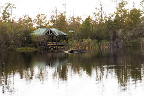 Wetland Scene at Six Mile Cypress Slough Preserve in Fort Myers Florida Shows Water and Nature Observing the Quiet Landscape