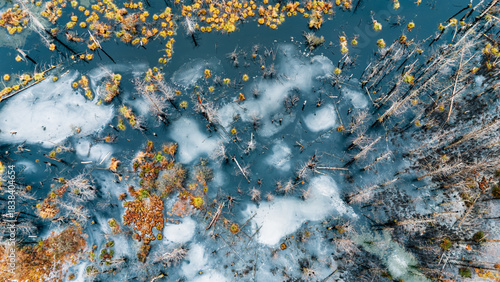 Frozen Peat Bog Ice Crust Orange Moss Aerial Arctic Winter