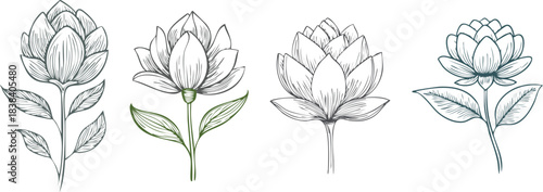 Single flower bud drawn in one continuous line forming subtle minimal botanical inspired design concept
