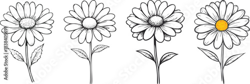 Soft daisy outline rendered in minimal botanical style suitable for gentle micro tattoo floral artwork