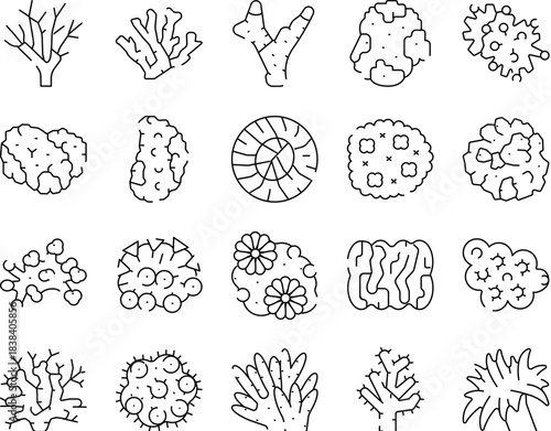 Hand drawn coral reef marine life icons