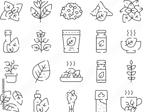 Stevia natural sweetener plant extract products icons