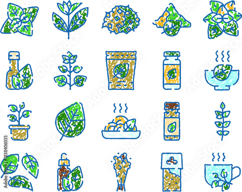 Basil herb leaves product cooking ingredient icons