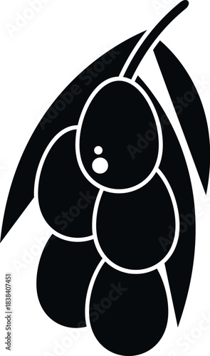 Olive branch with fruits on a white background, representing food and healthy eating