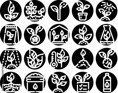 Plant growth and gardening process glyph icons collection