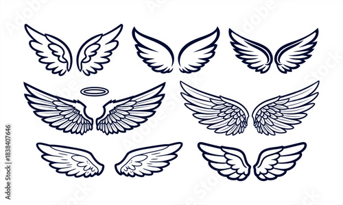 Illustrative vector collection featuring various pairs of stylized wings with different feather details and shapes.