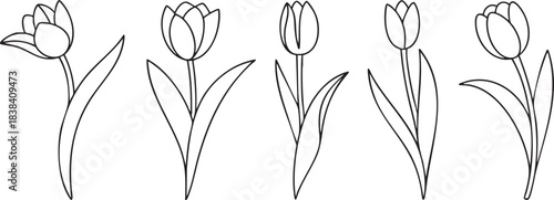 Elegant black outline tulip flower collection featuring various botanical arrangements perfect for simple coloring book art