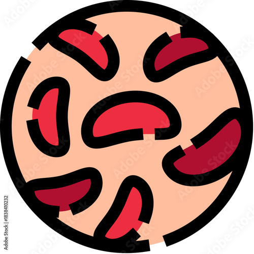 Human red blood cells in a circular cross section icon