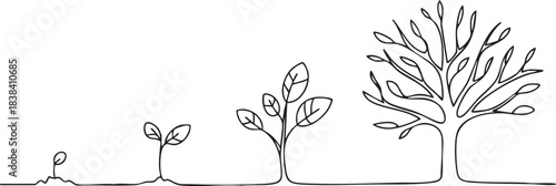 Minimalist continuous line art illustration showing sequential plant growth stages from seedling to mature tree development