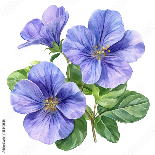 Bacopa Flower, vector clipart in watercolor with smooth gradients, isolated on a white background.