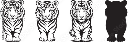 Set of standing tiger with striped fur and an ink silhouette in black color for zoo emblem