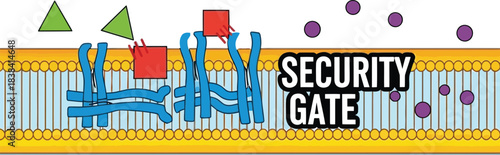 Biological diagram showing cell membrane receptors acting as a security gate to allow or reject specific molecules and ligands in the immune system defense mechanism.