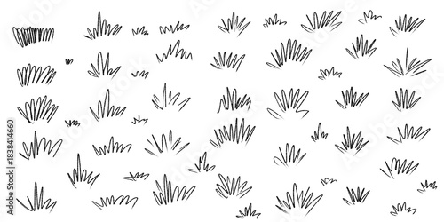 Set of hand drawn grass tufts and plant doodles isolated on white background
