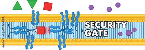 Biological diagram showing cell membrane receptors acting as a security gate to allow or reject specific molecules and ligands in the immune system defense mechanism.