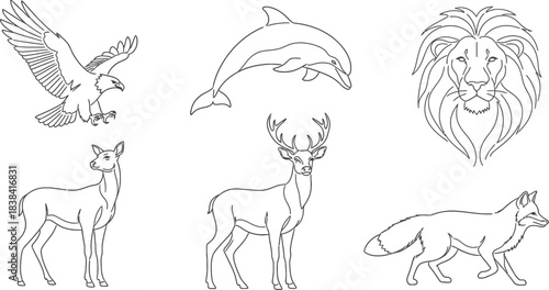 A big bundle Outline wild safari animals vector illustration of coloring page for kids and wild animals from tropical jungle, tiger macaque camel elephant bird lion deer wolf fish etc.