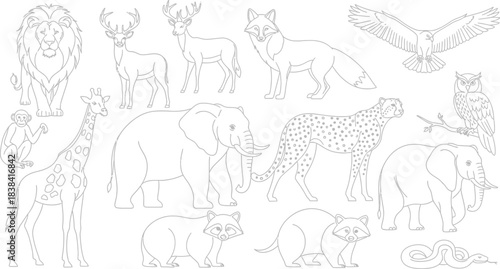 A big bundle Outline wild safari animals vector illustration of coloring page for kids and wild animals from tropical jungle, tiger macaque camel elephant bird lion deer wolf fish etc.