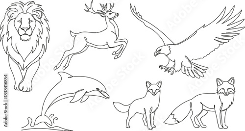 A big bundle Outline wild safari animals vector illustration of coloring page for kids and wild animals from tropical jungle, tiger macaque camel elephant bird lion deer wolf fish etc.