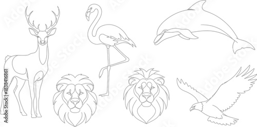 A big bundle Outline wild safari animals vector illustration of coloring page for kids and wild animals from tropical jungle, tiger macaque camel elephant bird lion deer wolf fish etc.