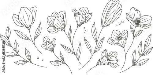 Hand draw Floral Botany Collection for coloring page outline. Elegant Flower Coloring Page – Botanical Sketch Artwork floral design elements for invitation, wedding, wallpaper, print template, vector 