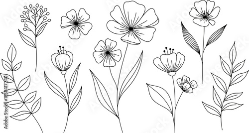 Hand draw Floral Botany Collection for coloring page outline. Elegant Flower Coloring Page – Botanical Sketch Artwork floral design elements for invitation, wedding, wallpaper, print template, vector 