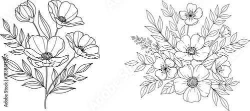 Hand draw Floral Botany Collection for coloring page outline. Elegant Flower Coloring Page – Botanical Sketch Artwork floral design elements for invitation, wedding, wallpaper, print template, vector 