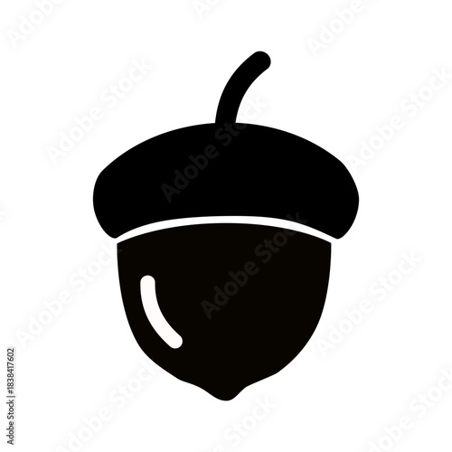 Acorn icon on white background.