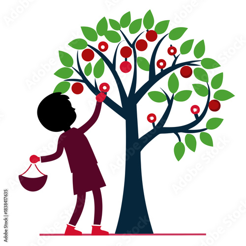 Child picking red apples from a tree with a basket silhouette