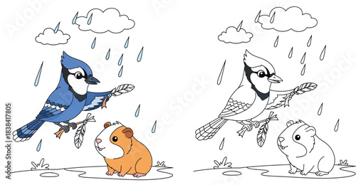 Cute cartoon blue jay bird and guinea pig in the rain. Vector illustration of animal friends playing outdoors with clouds and raindrops isolated on white background.