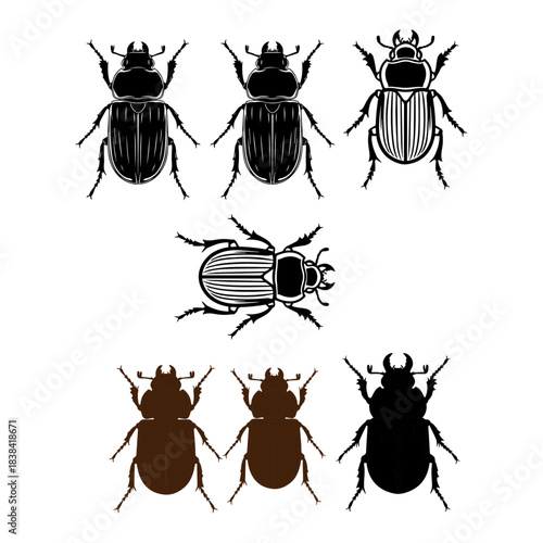 Darkling Beetle Insect Macro silhouette pack