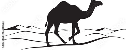 black silhouette of camel walking in desert on white background, vector