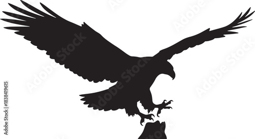 black silhouette of eagle landing on white background, vector
