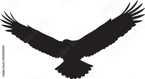 black silhouette of eagle with spread wings on white background, vector.