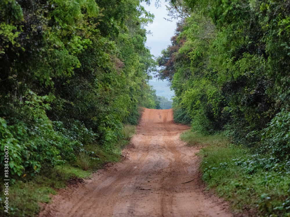 Obraz premium Südafika