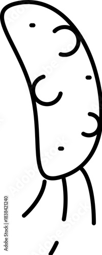 Bacterium microorganism line art for biology infection illustration