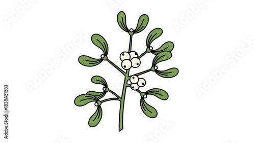 Hand-drawn mistletoe sprig with white berries and green leaves a festive Christmas plant for holiday decorations and winter designs