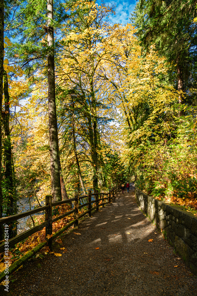 Naklejka premium Tumwater Autumn Trail