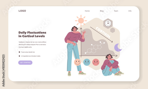 Daily Cortisol Level Fluctuations Vector Illustration