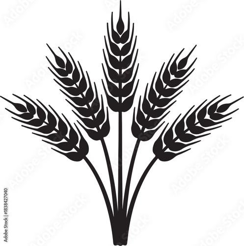 Stylized Black Silhouette of Five Wheat Stalks on White Background grain agriculture also transparent background