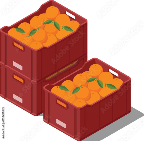 Crates full of oranges