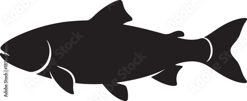 black silhouette of fish swimming on white background, vector