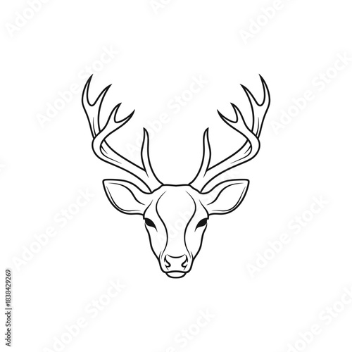 Line art deer head illustration with antlers on white background  