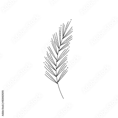 Black line drawing of a fern leaf on white background  