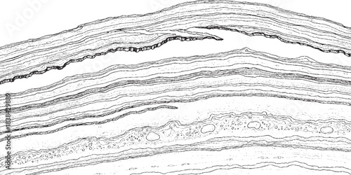 Geological strata layers showing rock formations and sedimentary deposits.